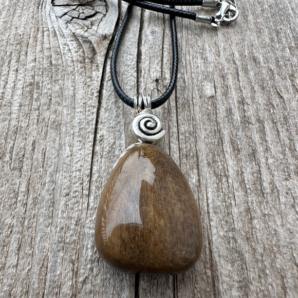 Petrified Wood Manifesting Your Transformation, Grounding and Harmony. - Picture 4 of 7